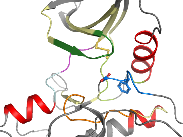 The orthosteric binding pocket