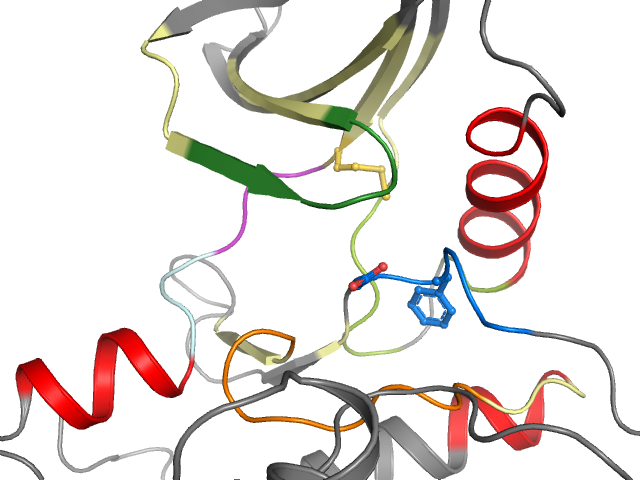 The orthosteric binding pocket