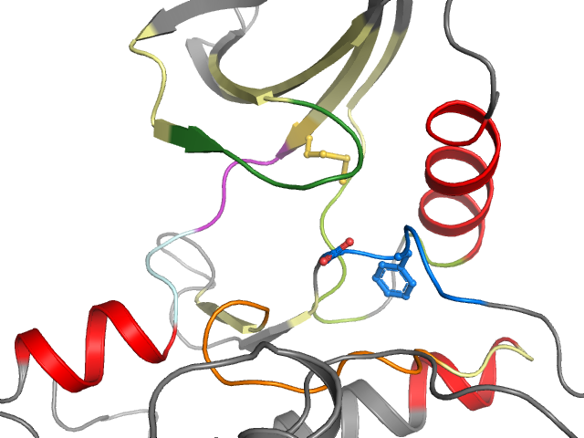 The orthosteric binding pocket
