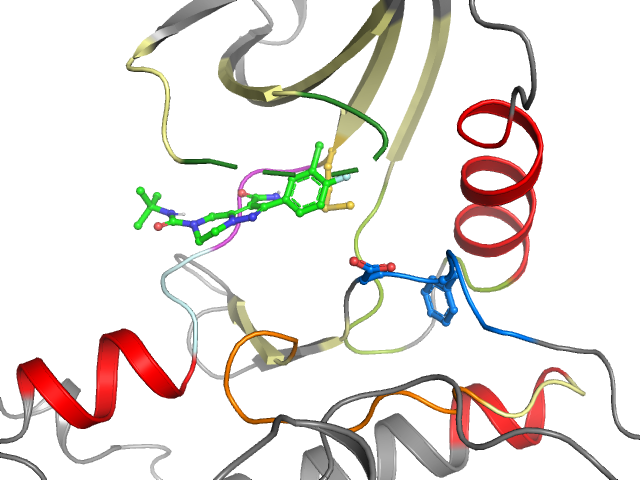 The orthosteric binding pocket