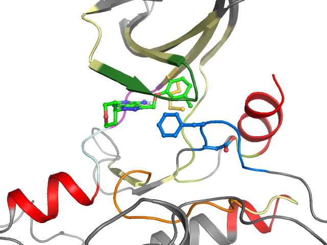 The orthosteric binding pocket