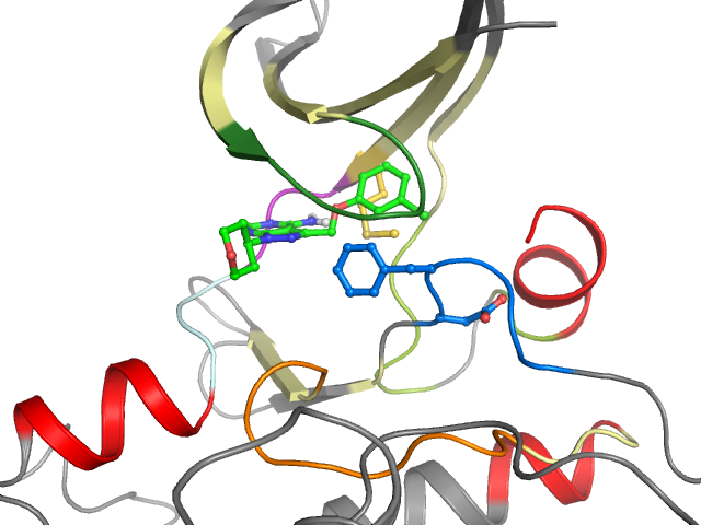 The orthosteric binding pocket