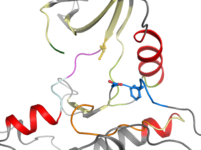 The orthosteric binding pocket