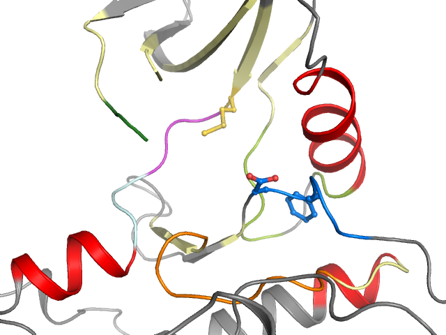 The orthosteric binding pocket
