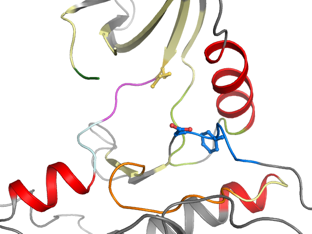 The orthosteric binding pocket