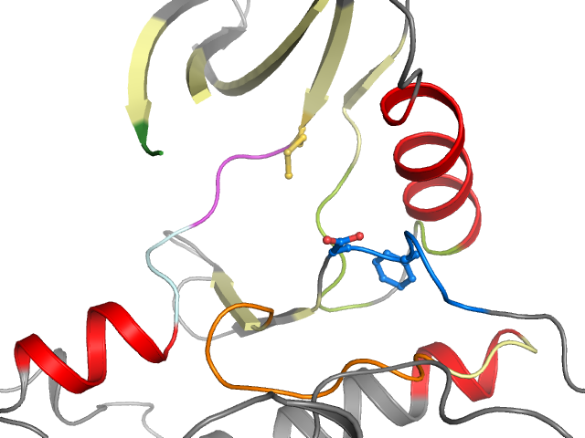 The orthosteric binding pocket