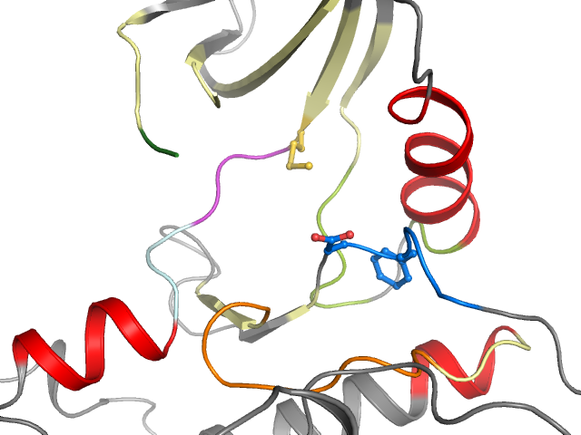 The orthosteric binding pocket