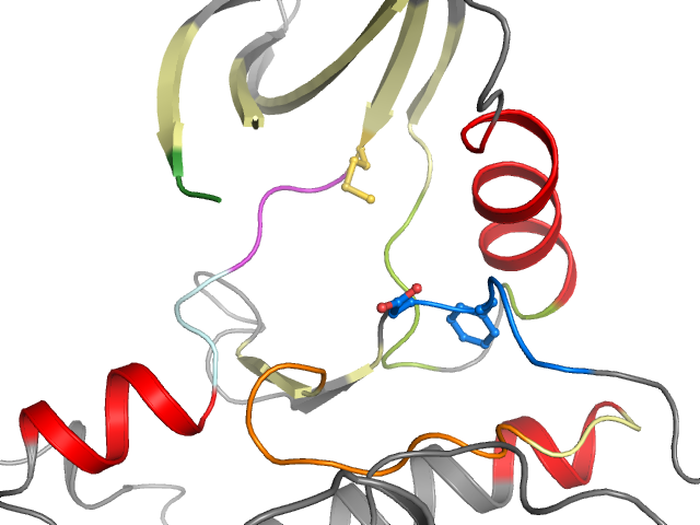 The orthosteric binding pocket
