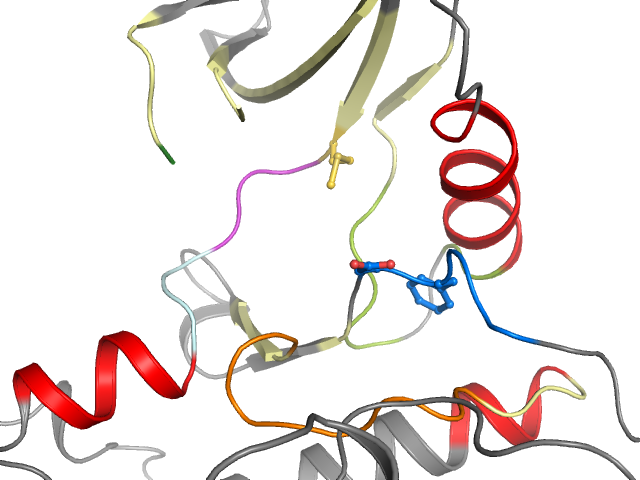 The orthosteric binding pocket