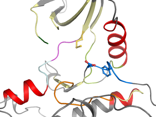 The orthosteric binding pocket