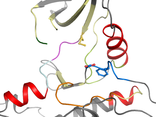 The orthosteric binding pocket