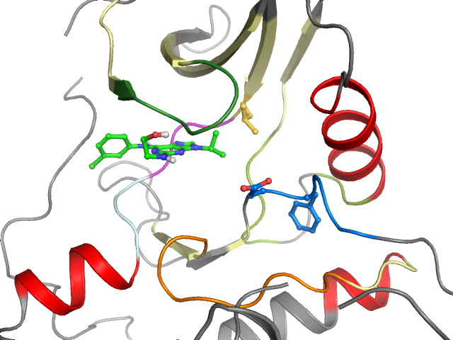 The orthosteric binding pocket