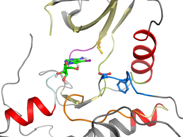 The orthosteric binding pocket