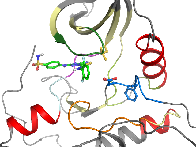 The orthosteric binding pocket