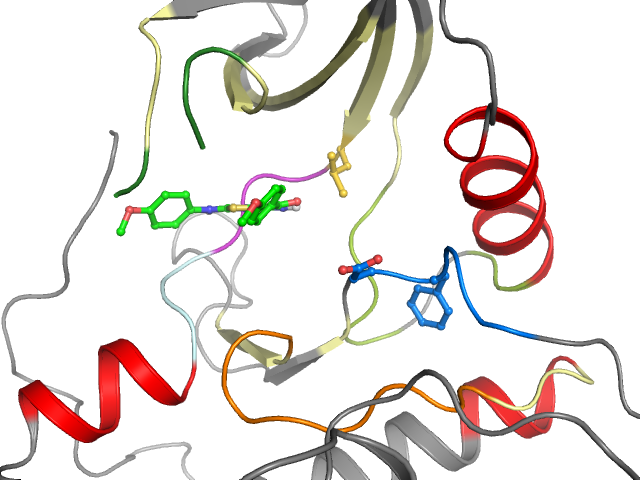 The orthosteric binding pocket