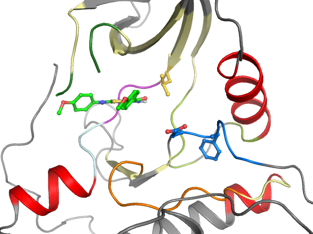 The orthosteric binding pocket