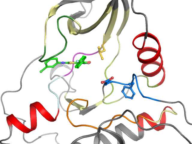 The orthosteric binding pocket