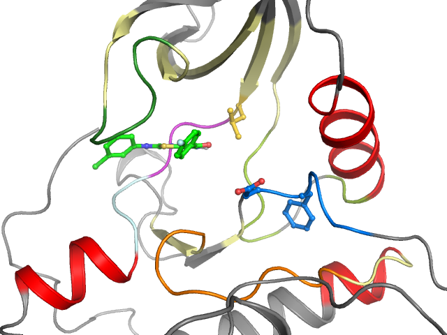 The orthosteric binding pocket