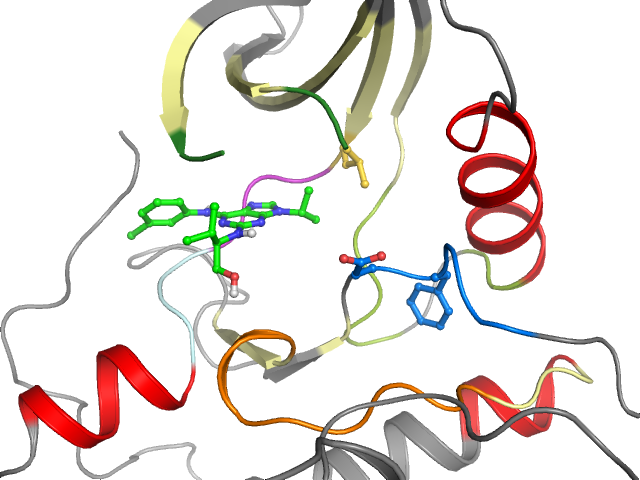 The orthosteric binding pocket