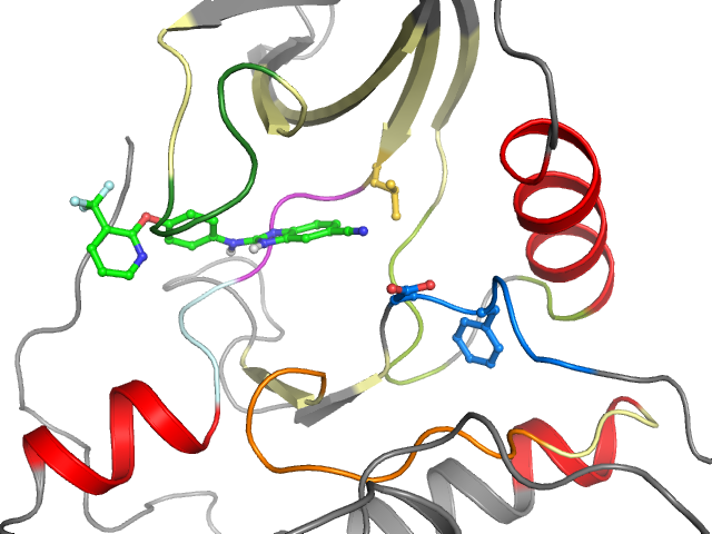 The orthosteric binding pocket
