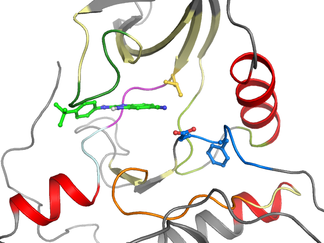 The orthosteric binding pocket