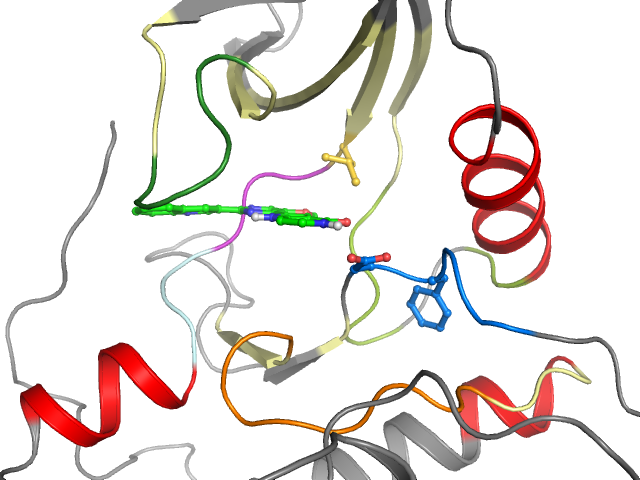The orthosteric binding pocket