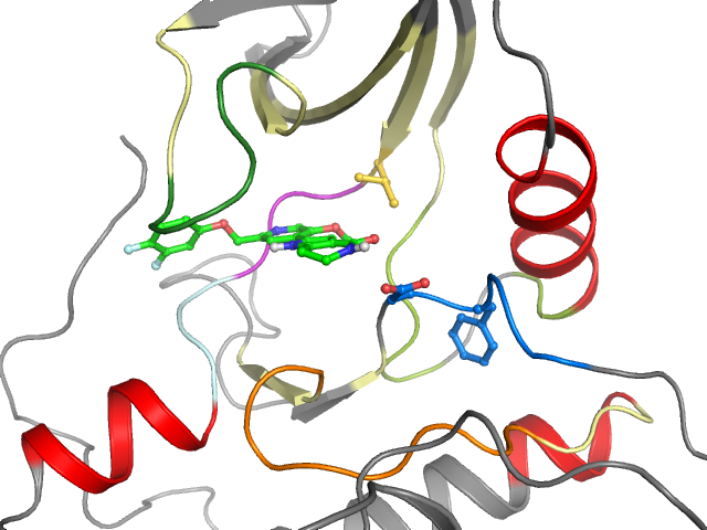 The orthosteric binding pocket