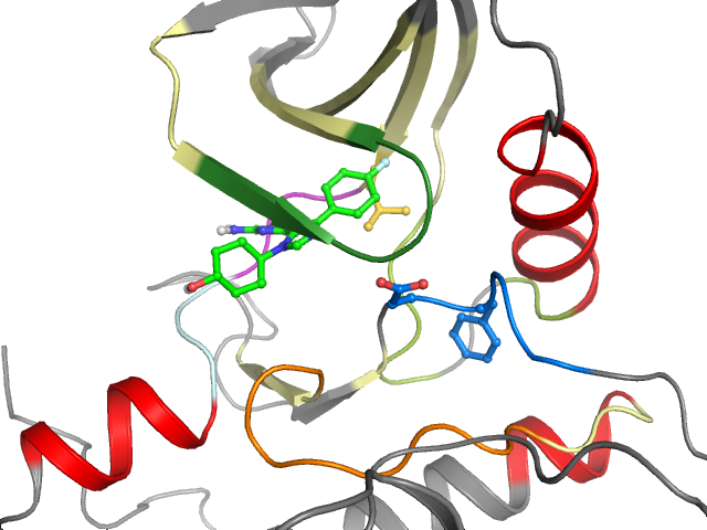 The orthosteric binding pocket