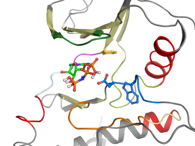 The orthosteric binding pocket
