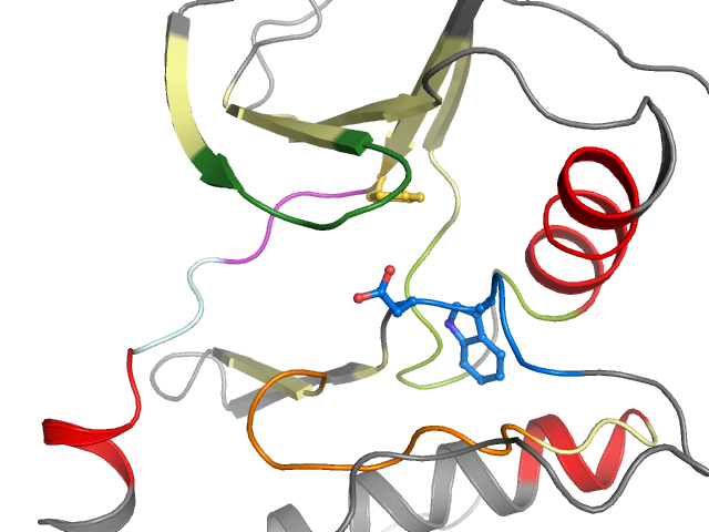 The orthosteric binding pocket