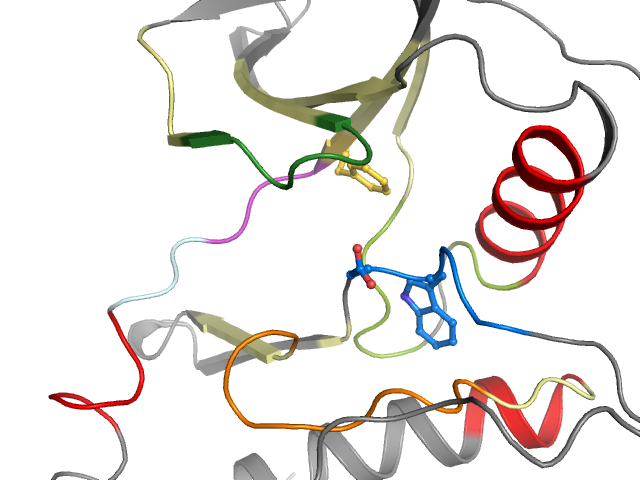 The orthosteric binding pocket