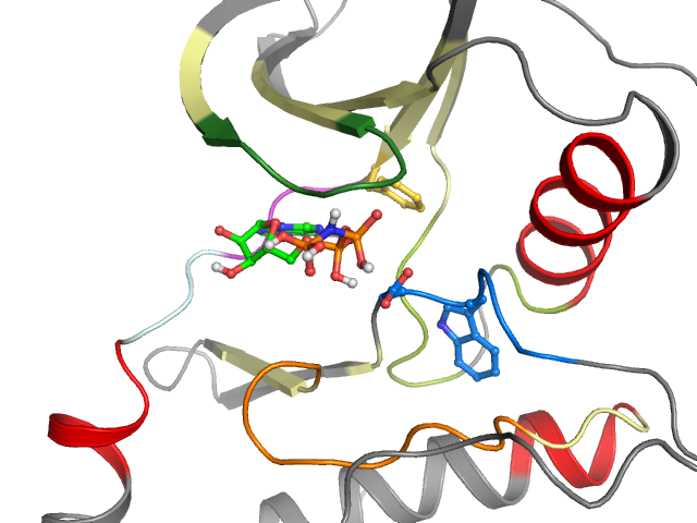 The orthosteric binding pocket
