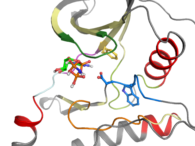 The orthosteric binding pocket