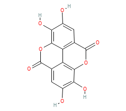 2D structure of the orthosteric ligand