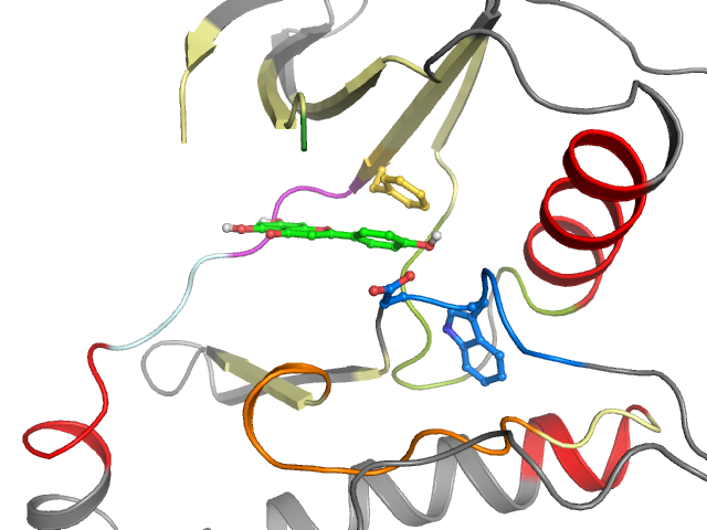 The orthosteric binding pocket