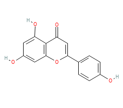 2D structure of the orthosteric ligand