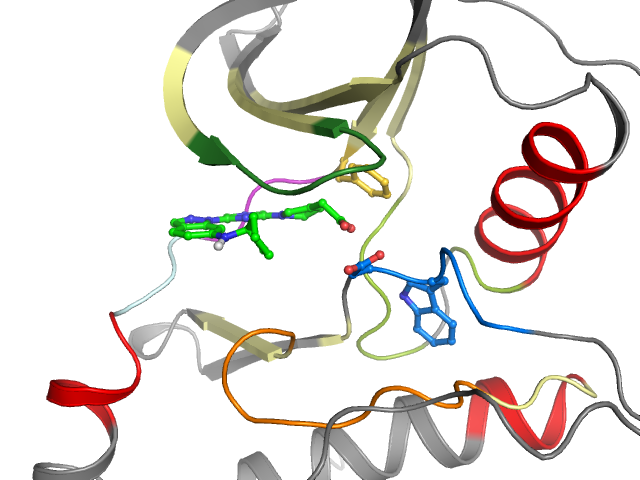 The orthosteric binding pocket