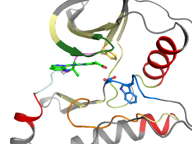 The orthosteric binding pocket