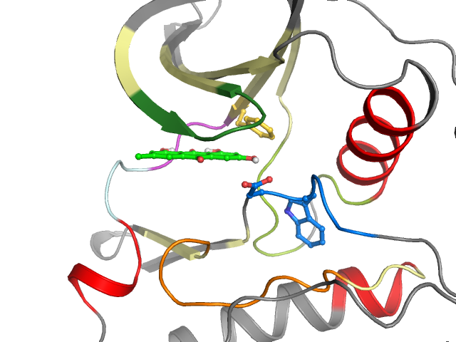 The orthosteric binding pocket
