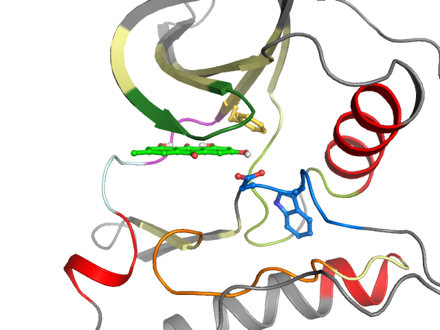 The orthosteric binding pocket