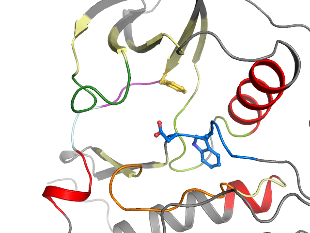The orthosteric binding pocket