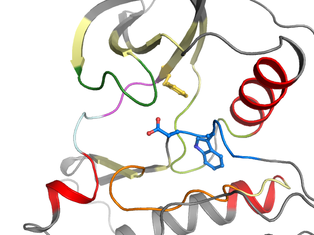 The orthosteric binding pocket