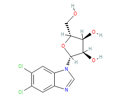 2D structure of the allostericligand