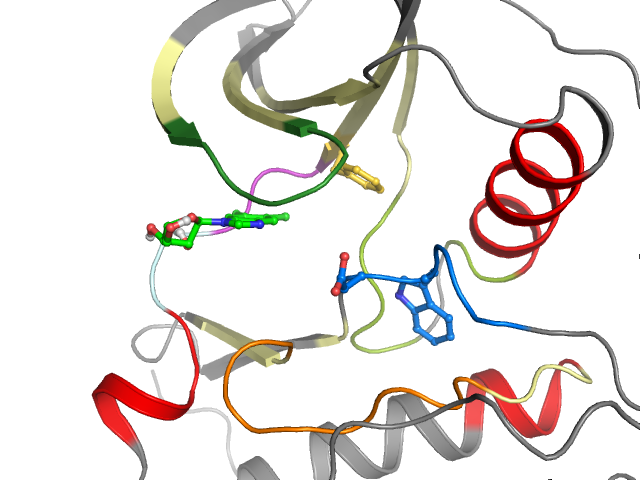 The orthosteric binding pocket