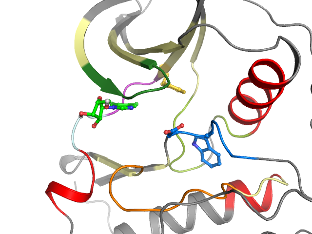 The orthosteric binding pocket