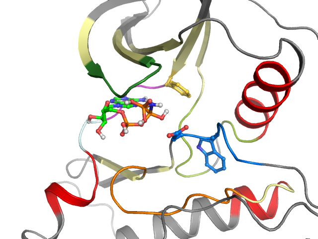The orthosteric binding pocket