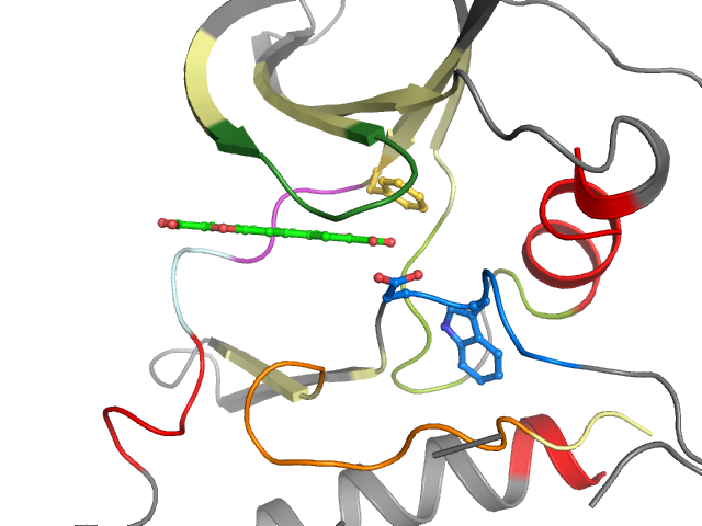 The orthosteric binding pocket