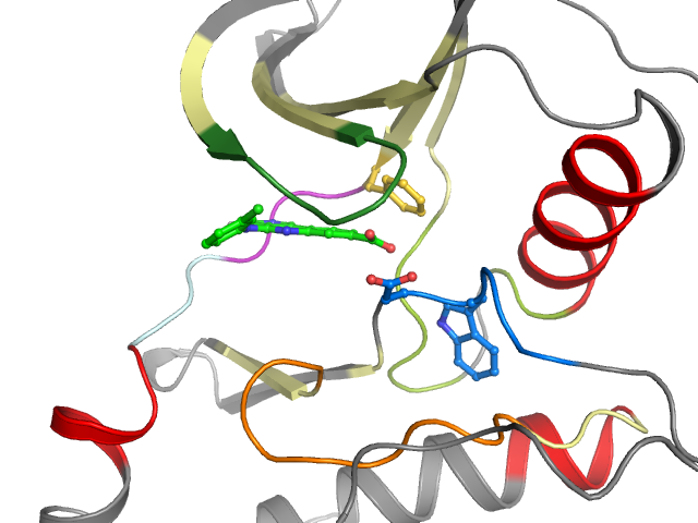 The orthosteric binding pocket