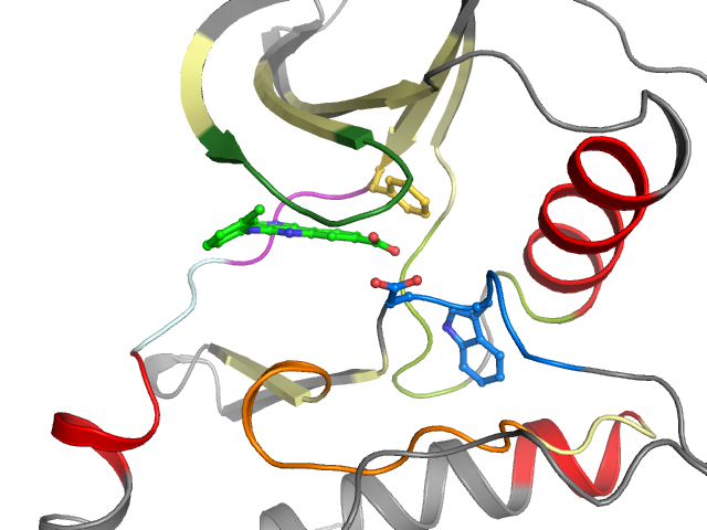 The orthosteric binding pocket