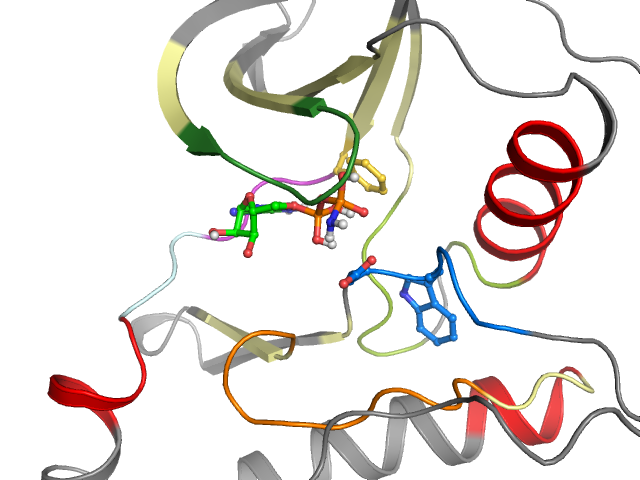 The orthosteric binding pocket